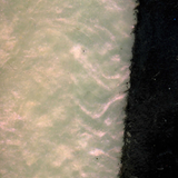 Pearl/Black W/ Orange Throat